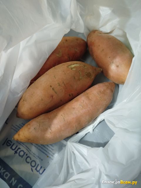 Фотография Овощ Батат | отзыв покупателя Овощ Батат