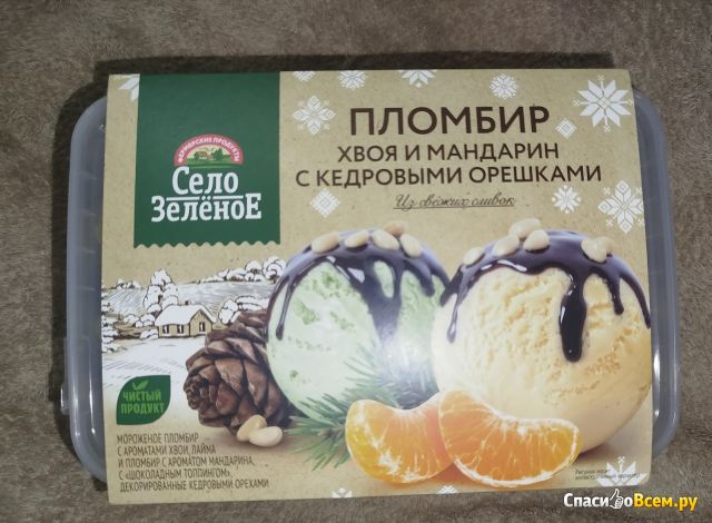 Мороженое пломбир Село Зелёное Пломбир с ароматом хвои, лайма и мандарина с шоколадным топпингом