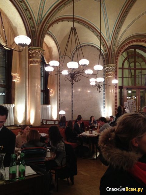 Cafe Central в Вене (Австрия)