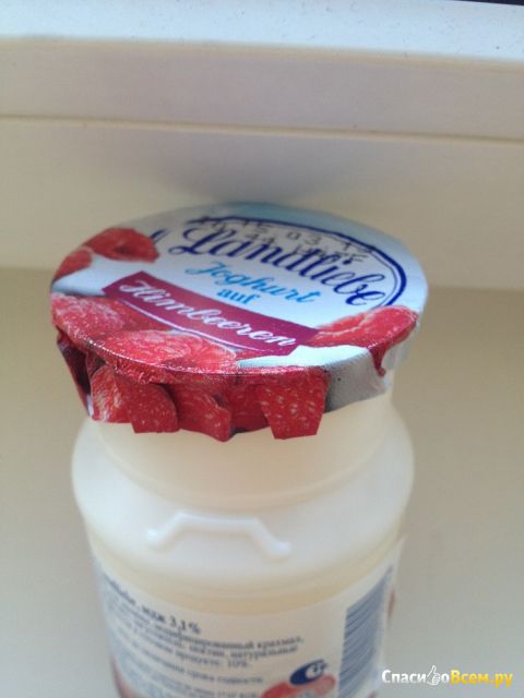 Йогурт Landliebe с малиной