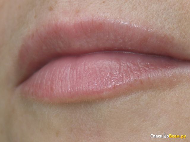 Бальзам для губ Carmex Moisturizing Lip Balm