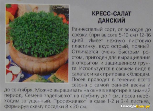 Семена данского кресс-салата "Русские семена"