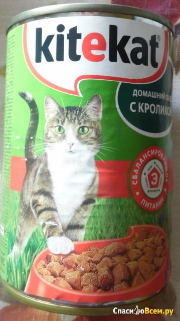 Полнорационный консервированный корм Kitekat с кроликом в соусе по-домашнему, для взрослых кошек