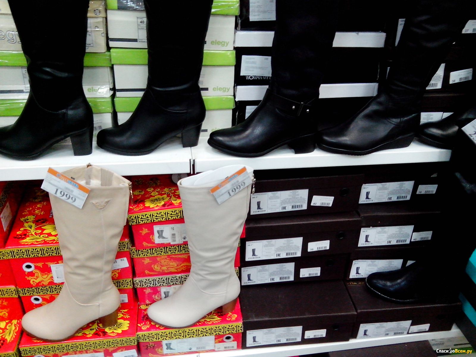 Шагал сапог. Магазин обуви белорусская обувь. Юничел ботфорты. Ассортимент обуви белорусской в магазинах обуви. Обувь великан женская.
