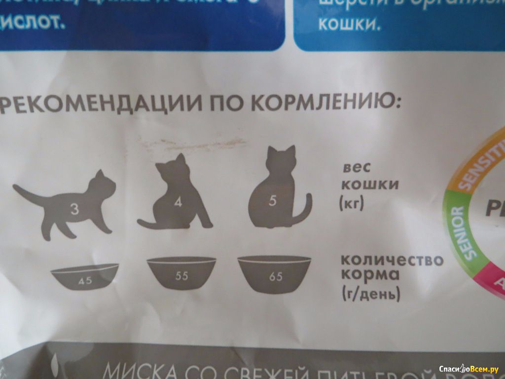 Сколько надо кормить кошку. Норма корма для кошки. Нужен корм для кошек. Нормы кормления кошек. Норма сухого корма для кошек в день.