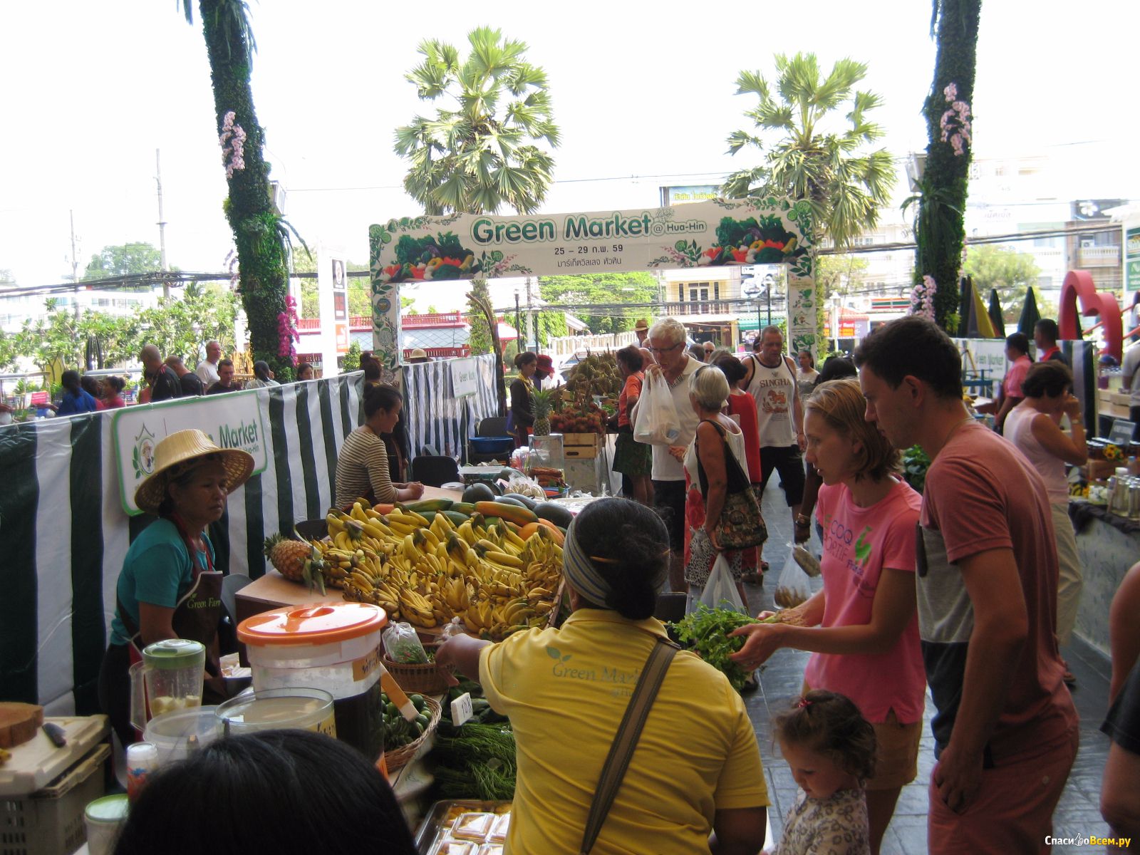 Dark markets thailand