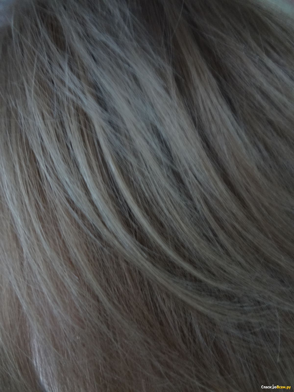 тон краски 8.0 фото на волосах