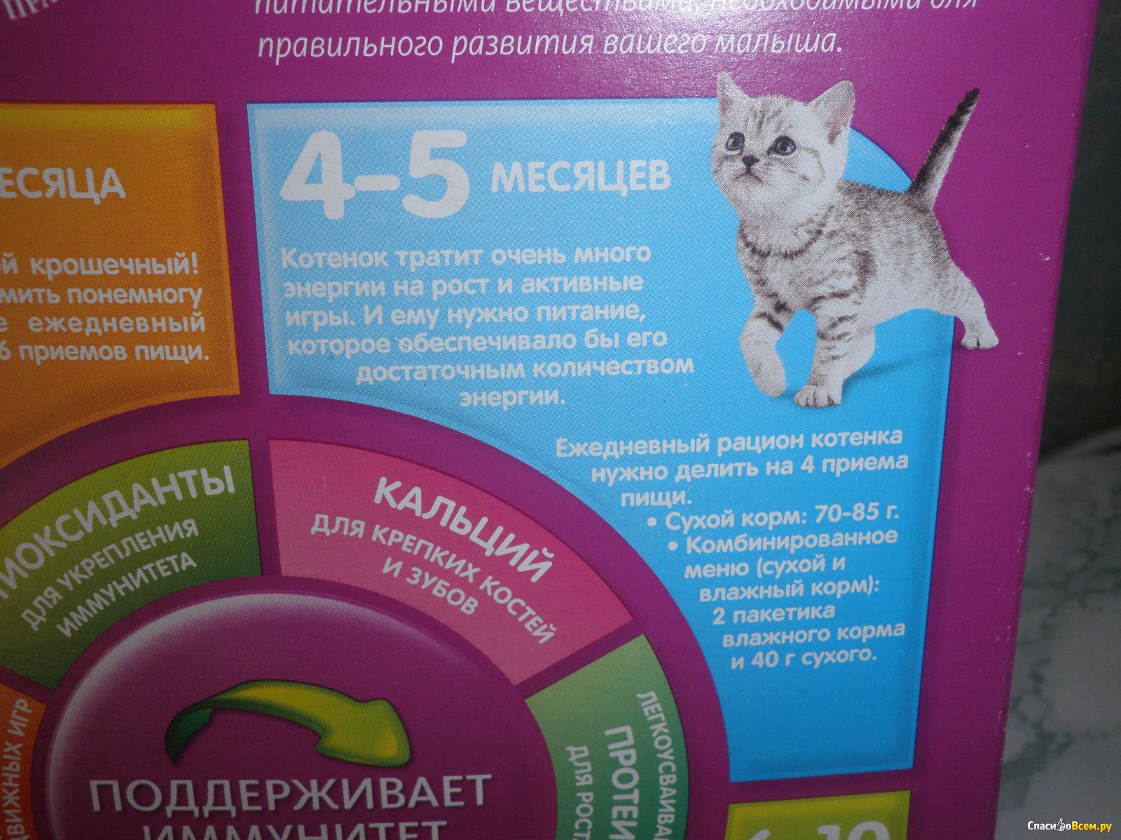 Чем кормить 5 котят. Питание котенка. Корм для котят. Сухое питание для котят. Корма для котят 1.5 месяца.