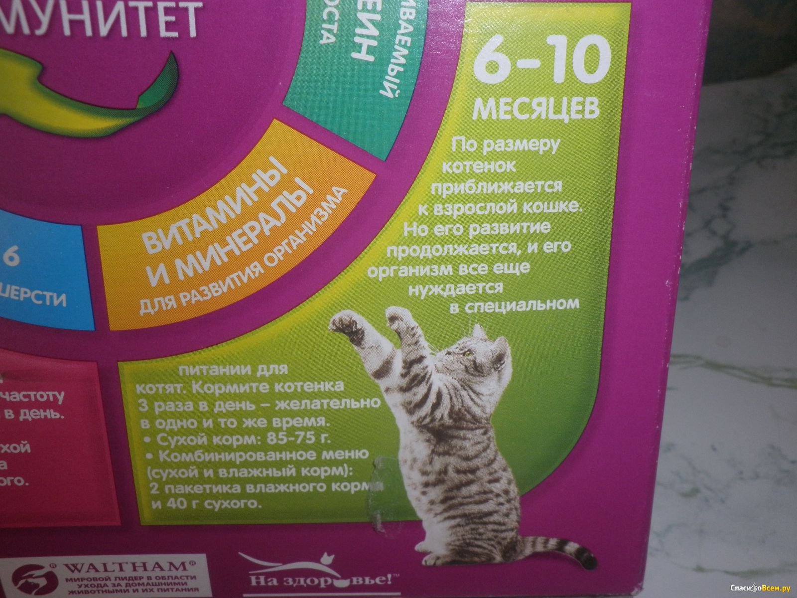 Можно кормить котят детскими смесями. Вискас подушечки. Жидкое питание для котят. Вискас для котят с индейкой и морковью. Меню для котенка.