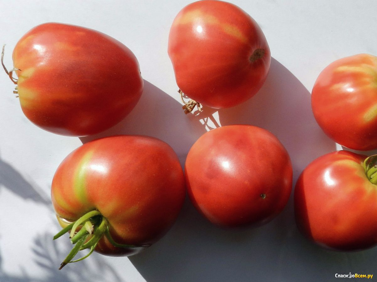 Семена томат «розовый мёд»