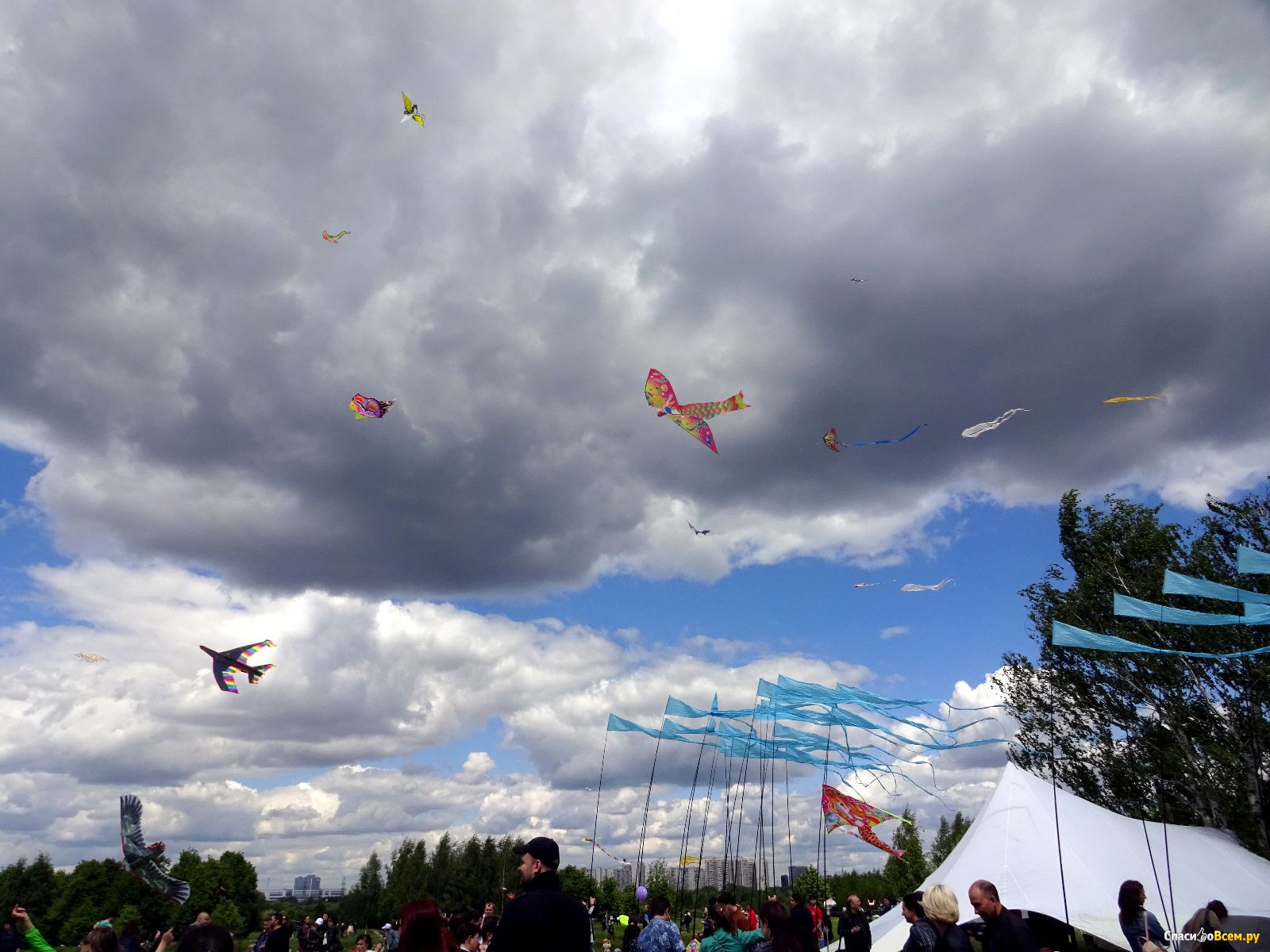 Пестрое небо. Фестиваль воздушных змеев «пёстрое небо». Фестиваль пестрое небо 2023. Фестиваль воздушных змеев в Царицыно 2021. Царицыно воздушные змеи.