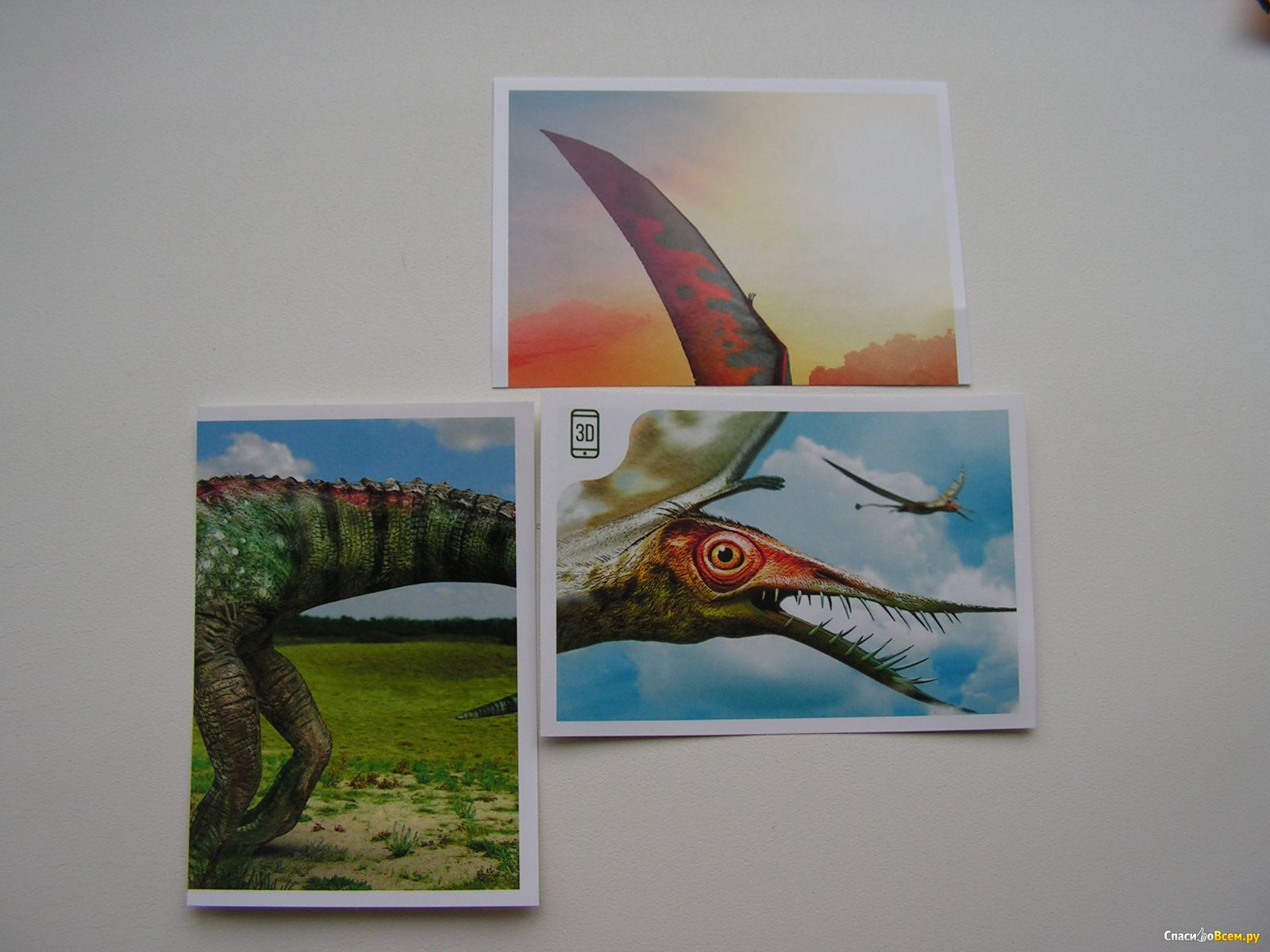Дикси динозавры. Карточки Дино Дикси. Наклейки динозавры Дикси. Карточки динозавры из Дикси. Дино Дикси наклейки.