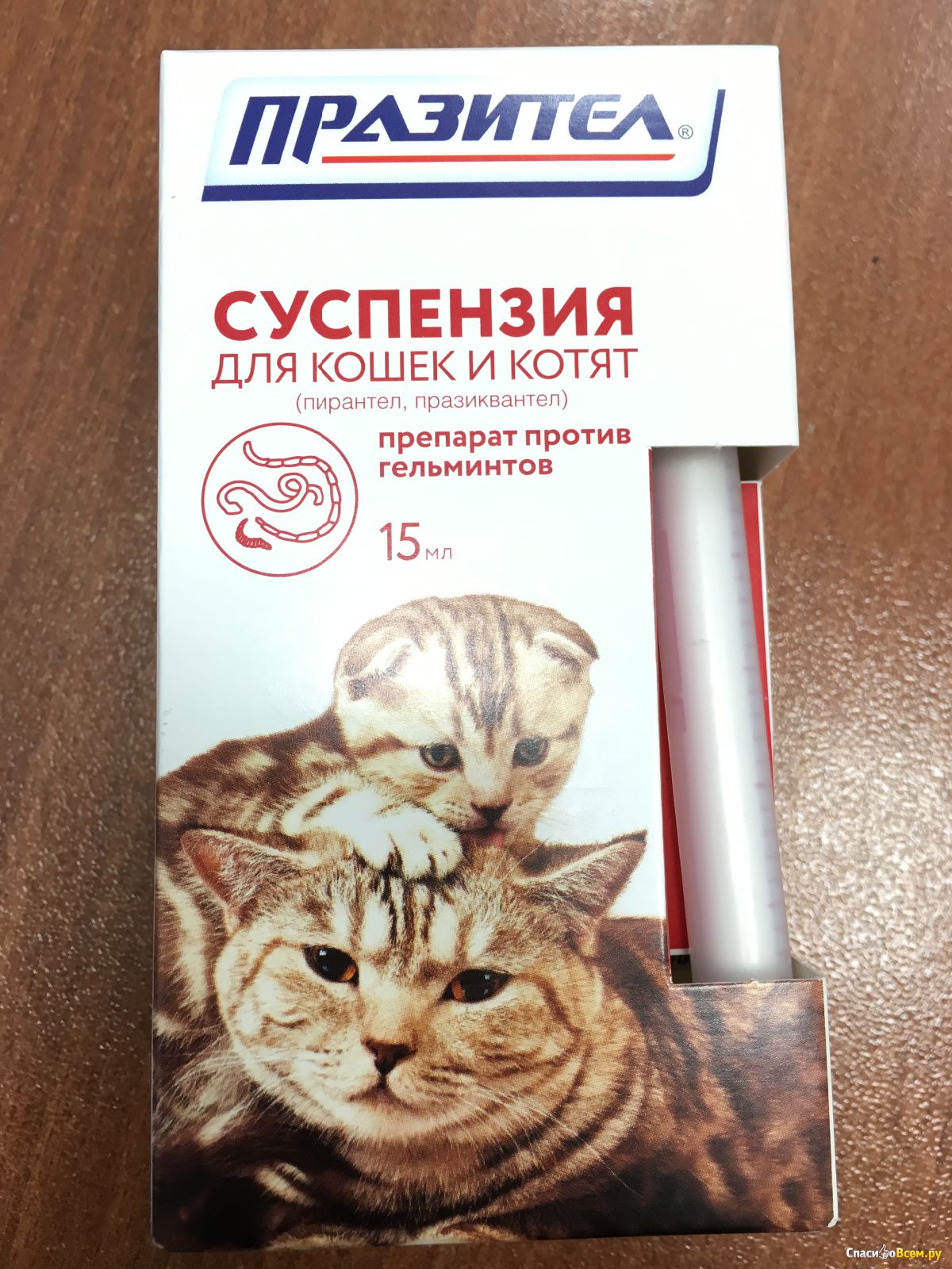 Как давать капли кошке. Против паразитов для кошек против глистов таблетки. Жидкое лекарство от глистов для кошек. Капли от глистов для котят внутрь. Таблетки от глистов для кошек Празител.