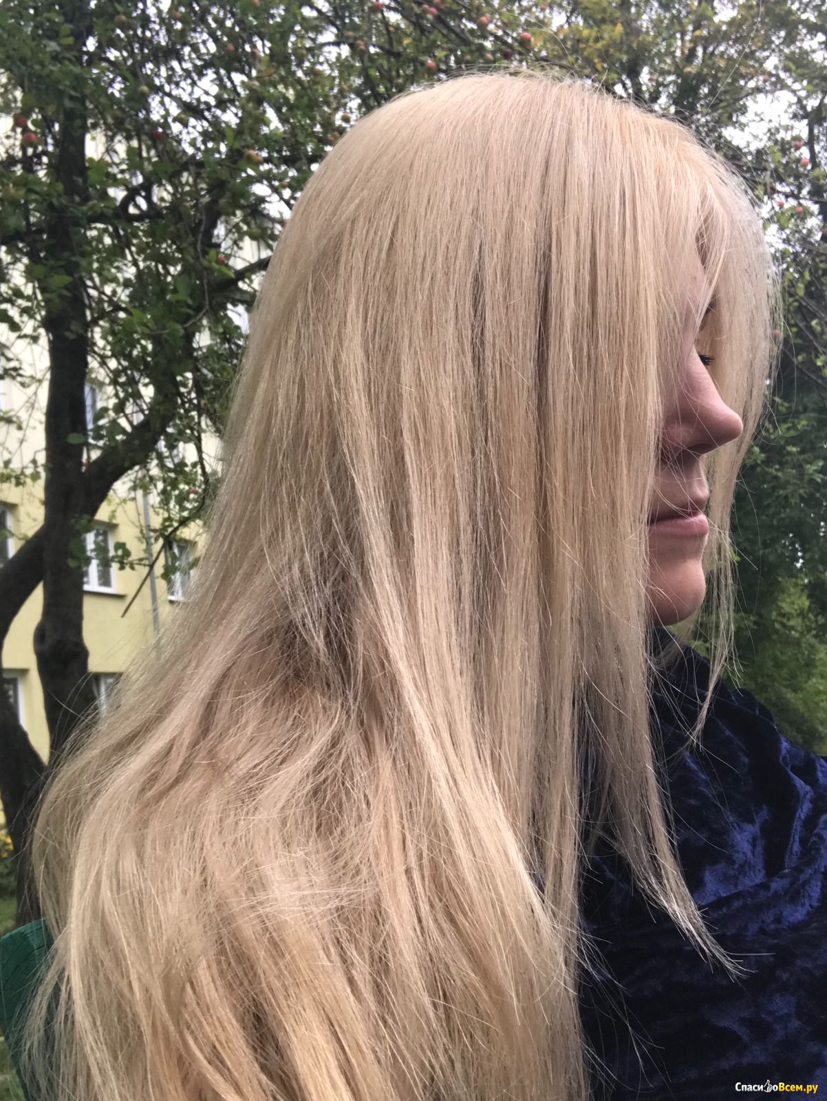 бежевый блондин цвет волос фото