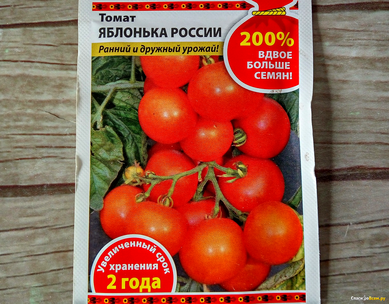 Томаты Яблонька России Отзывы Фото Урожайность