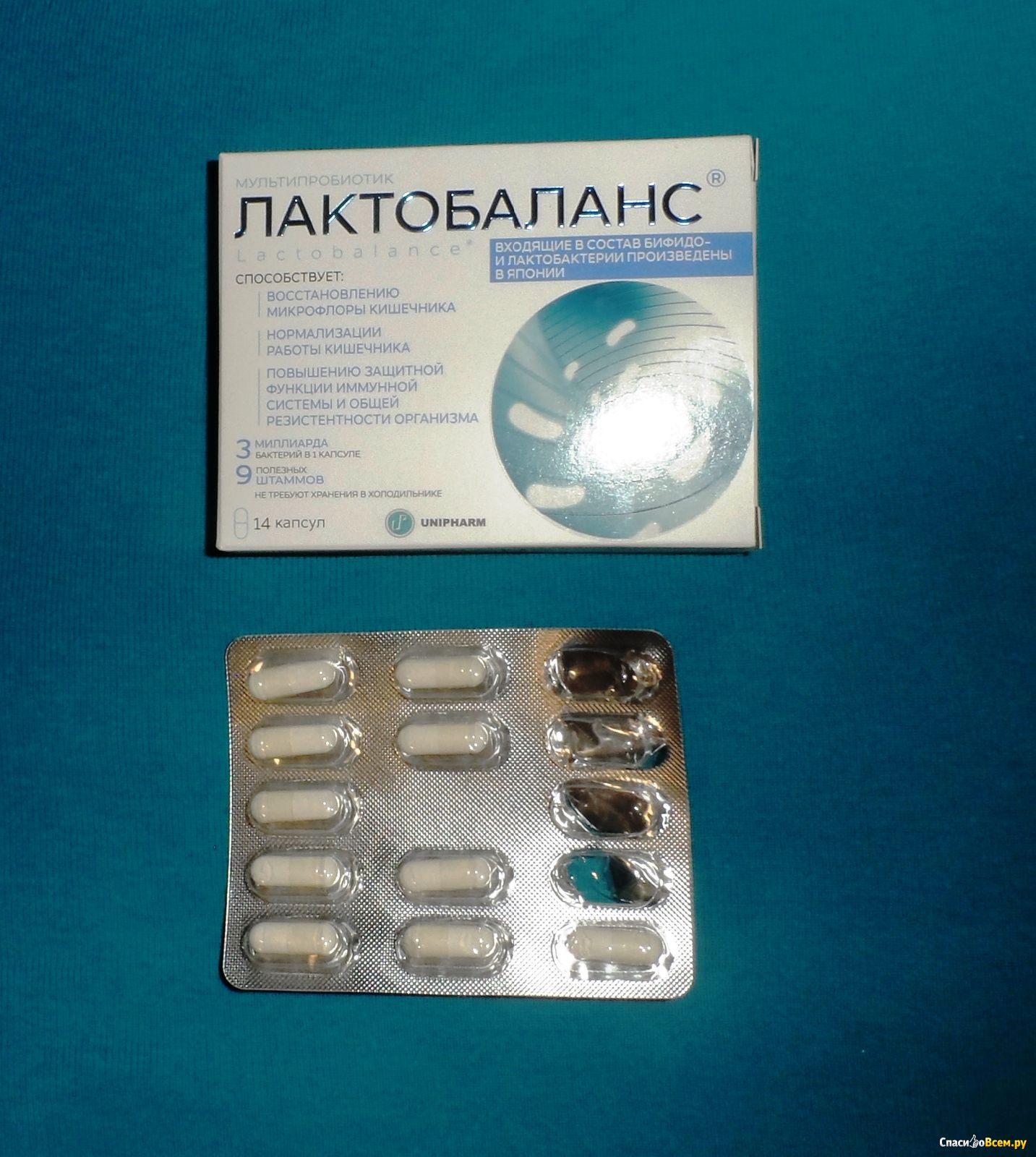 Пробиотик Лактобаланс Капсулы 378 Мг 28 – Telegraph
