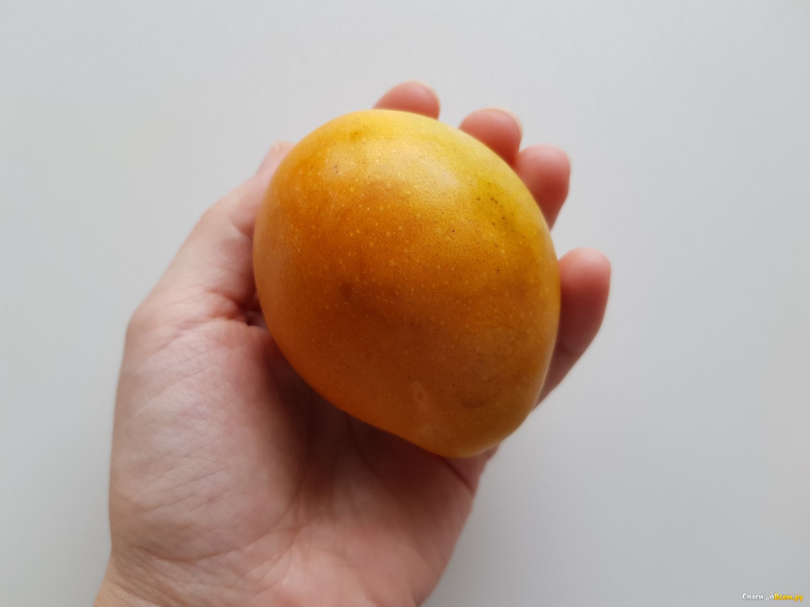 Маленькие манго
