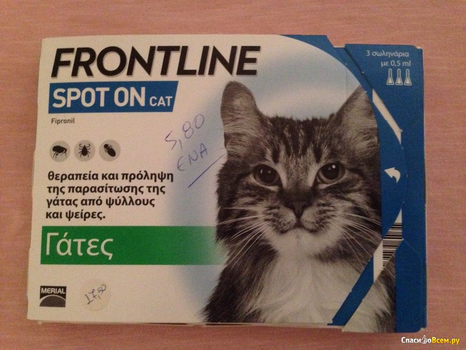 Фронтлайн для котят. Фронтлайн спот он для кошек. Фронтлайн Фронтлайн спот-он капли для кошек от блох и клещей. Фронтлайн спот он капли для кошек от блох и клещей к 0,5 мл (1 пипетка).