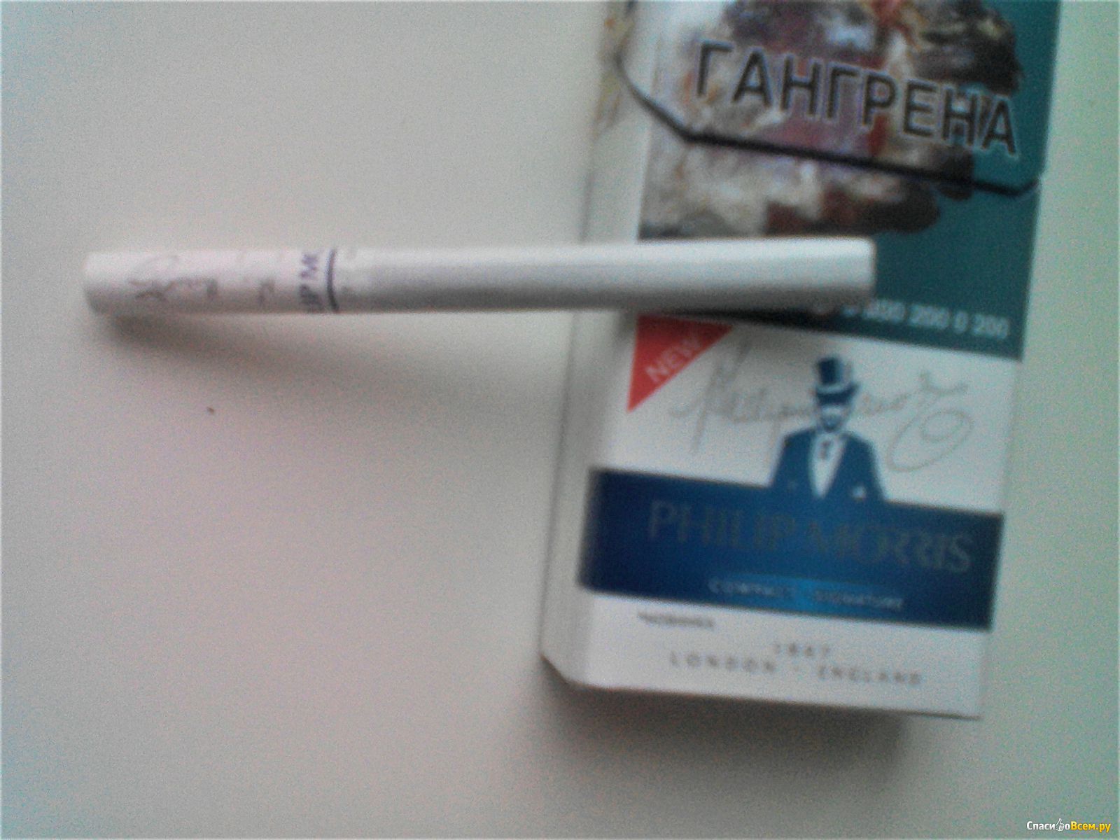 Филип моррис компакт. Сигареты Филип Моррис компакт. Сигареты Philip Morris Compact Blue. Philip Morris Compact Signature.
