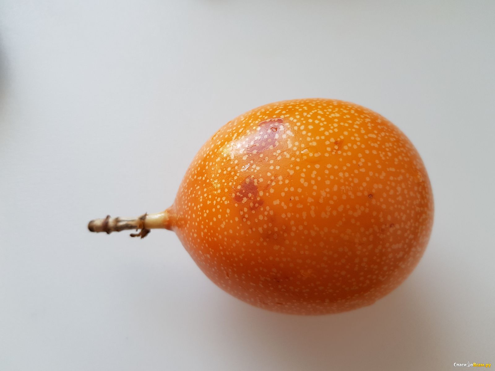 Гранодила. Гранадилла. Гренадил фрукт. Гранадилла фрукт в сетке. Фотография фрукта гренадила.