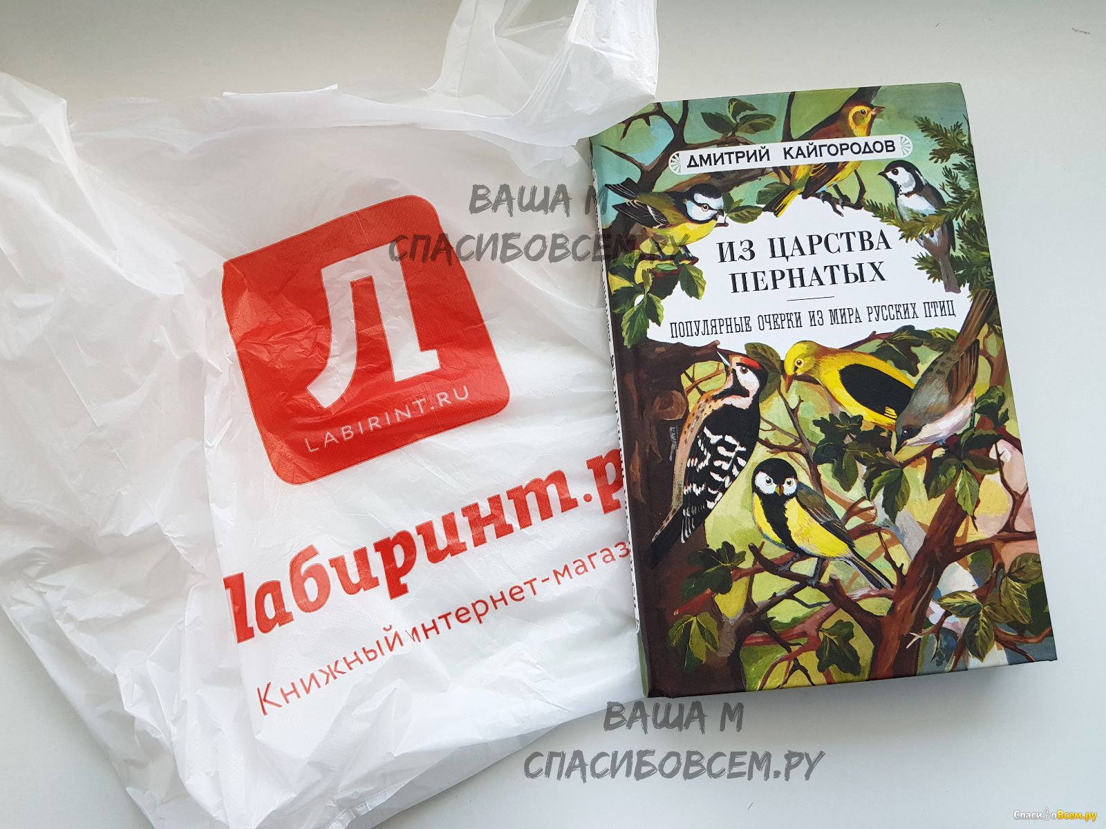 Отзывы магазина лабиринт. Лабиринт интернет-магазин книги водитель. Картинки интернет магазин Лабиринт-пост. Отзывы о работе в магазине Лабиринт.